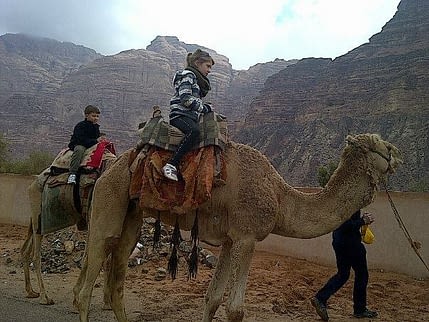 twidells_wadi-run_camels