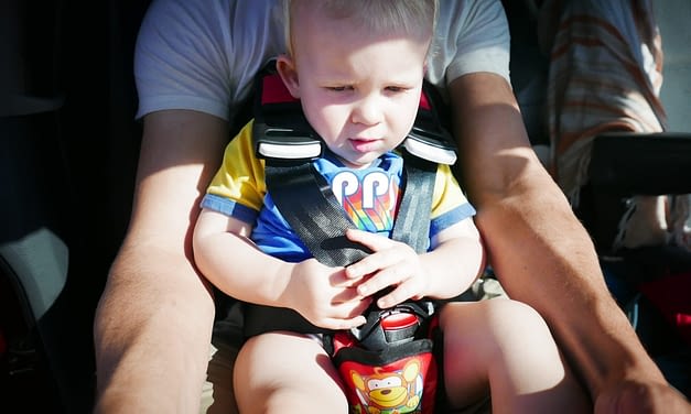 Belt Up Baby Safety Harness – reviewed by Berian