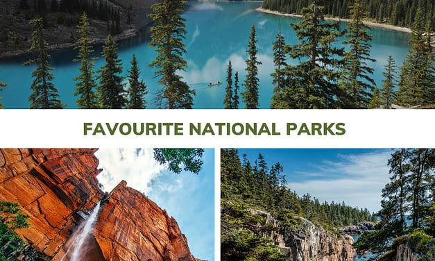 Our Tribe’s Fave National Parks: Ready for Family Fun!